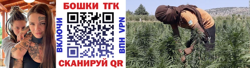 Шишки марихуана White Widow  цена наркотик  кракен ONION  Хасавюрт 